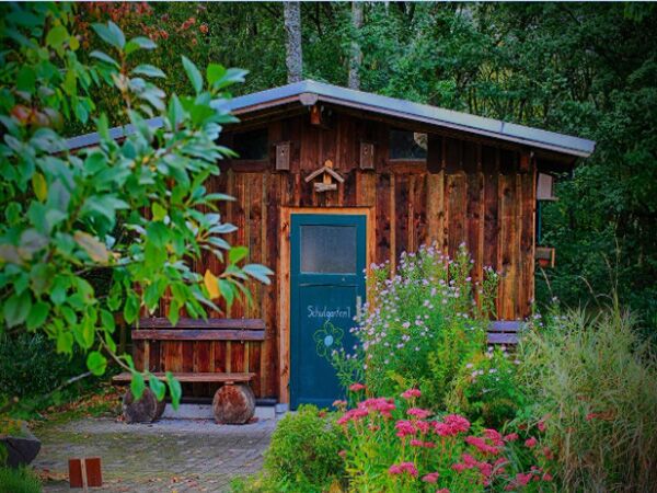 Shed Refurbishment on a Shoestring: Revamping Your Space Without Breaking the Bank 4 Image of old shed